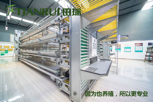 重慶全自動蛋雞養(yǎng)殖設備特價批發(fā)田瑞牧業(yè)——跨界融合中的機遇與挑戰(zhàn)